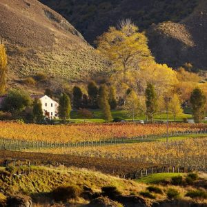 Farm — Your Queenstown Transport in Queenstown, New Zealand